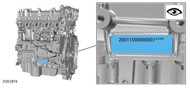 G13900798