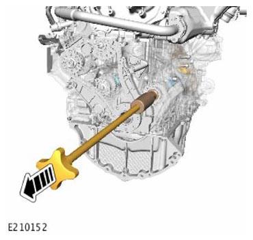 G13900826