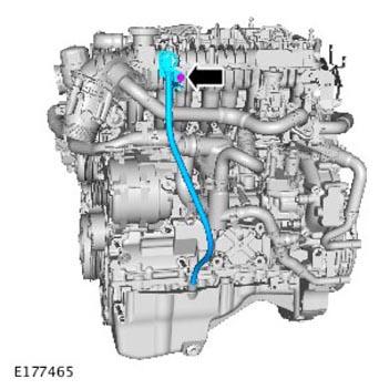 G13901171