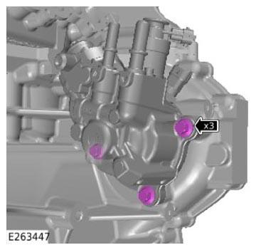 G13901577