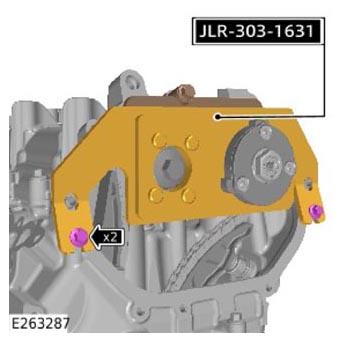 G13901674
