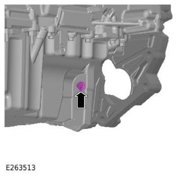 G13901693