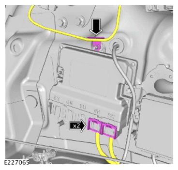 G13902519