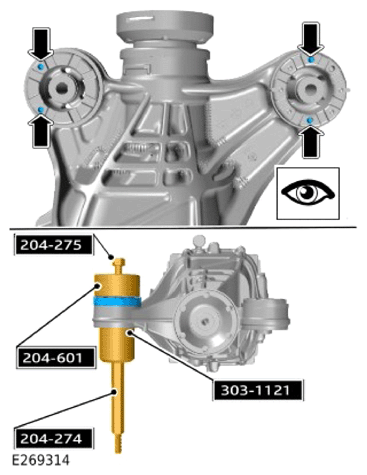 G13902674