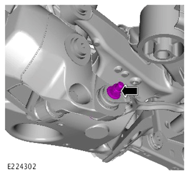 G13902931