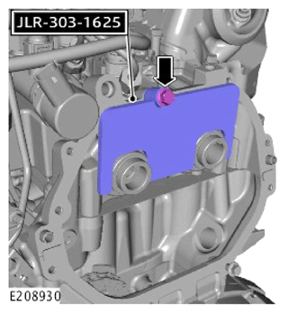 G13905592