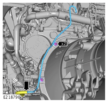 G13906448