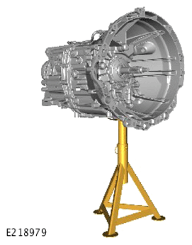 G13906456