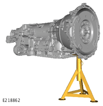 G13906507