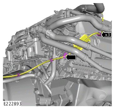 G13912562