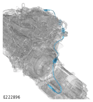 G13912565