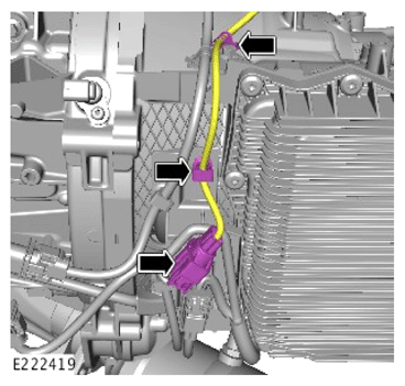 G13913372