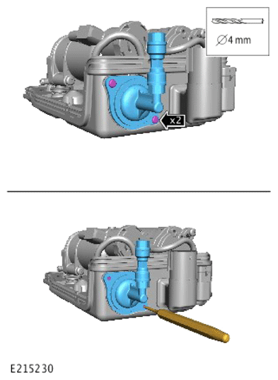 G13920584
