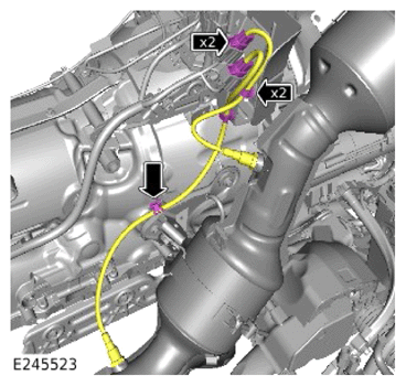 G13921145