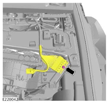 G13922411