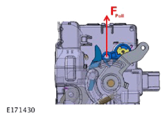G13924619