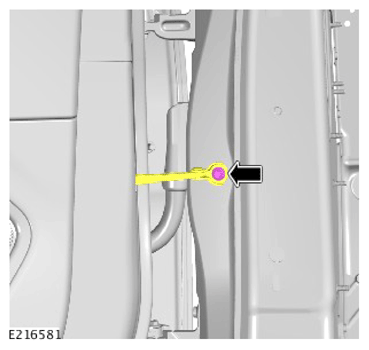 G13924644