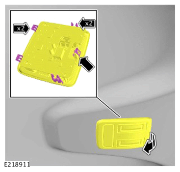 G13925565
