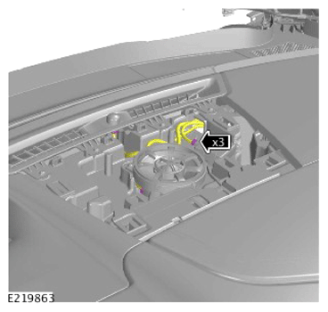 G13925574