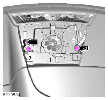 G13925584