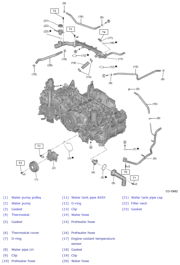 G13934481