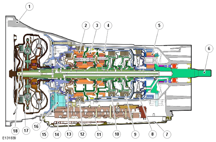 G13945937