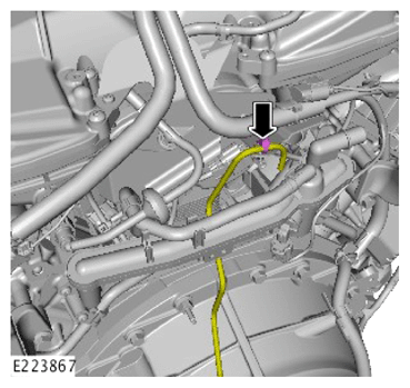 G13946415