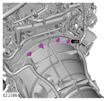 G13946416