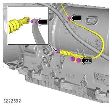 G13946429