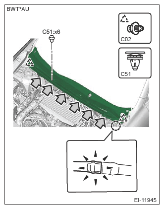 G13953638