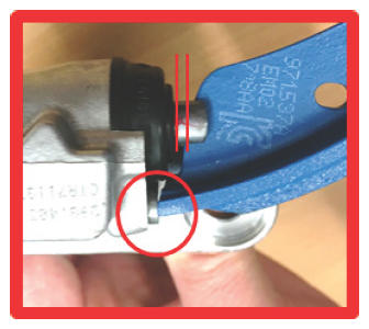 G13956797