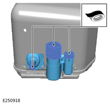 G13965848