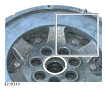 G13966580