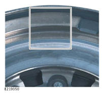 G13966581