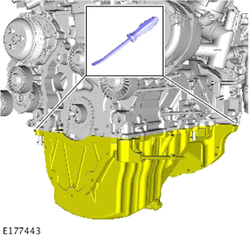 G13967136