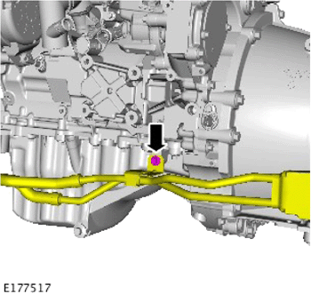 G13967161