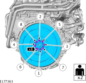 G13967373