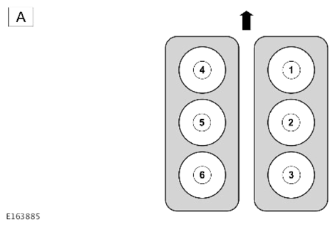 G13970383