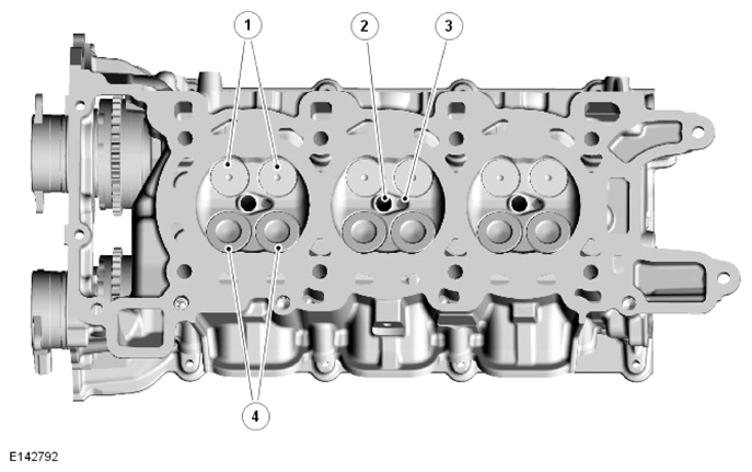 G13970396
