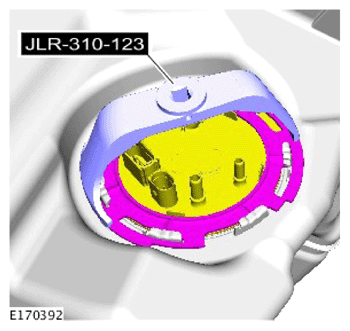 G13989857