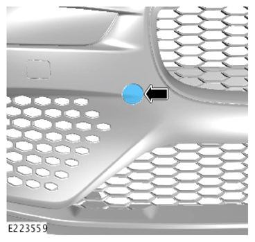 G13995293