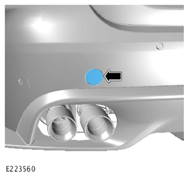 G13995294