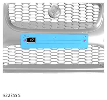G13995296