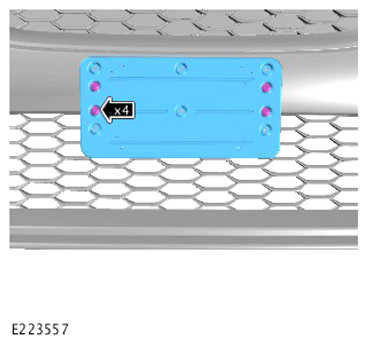 G13995298