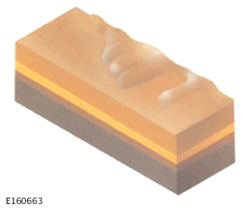 G13995355