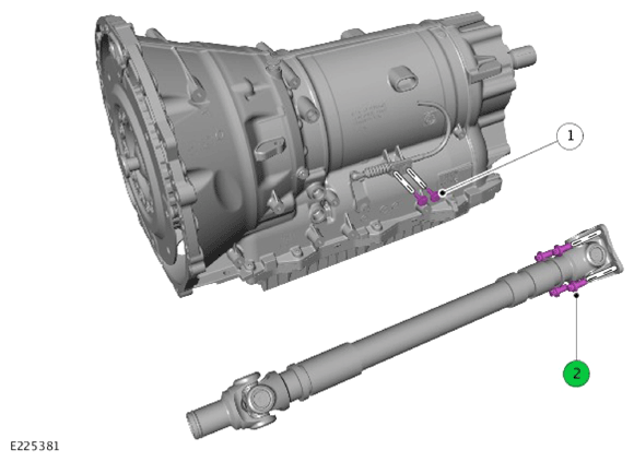 G13995994