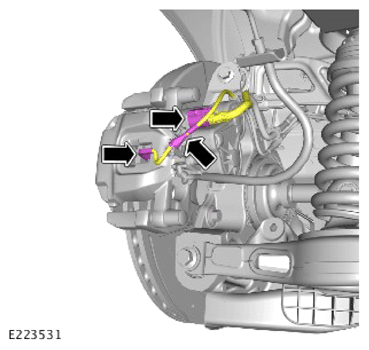 G13996581