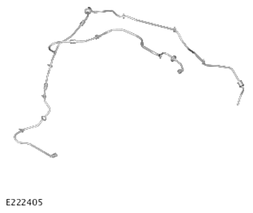 G13996689