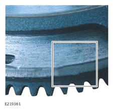 G13996825