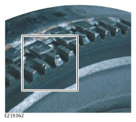 G13996826
